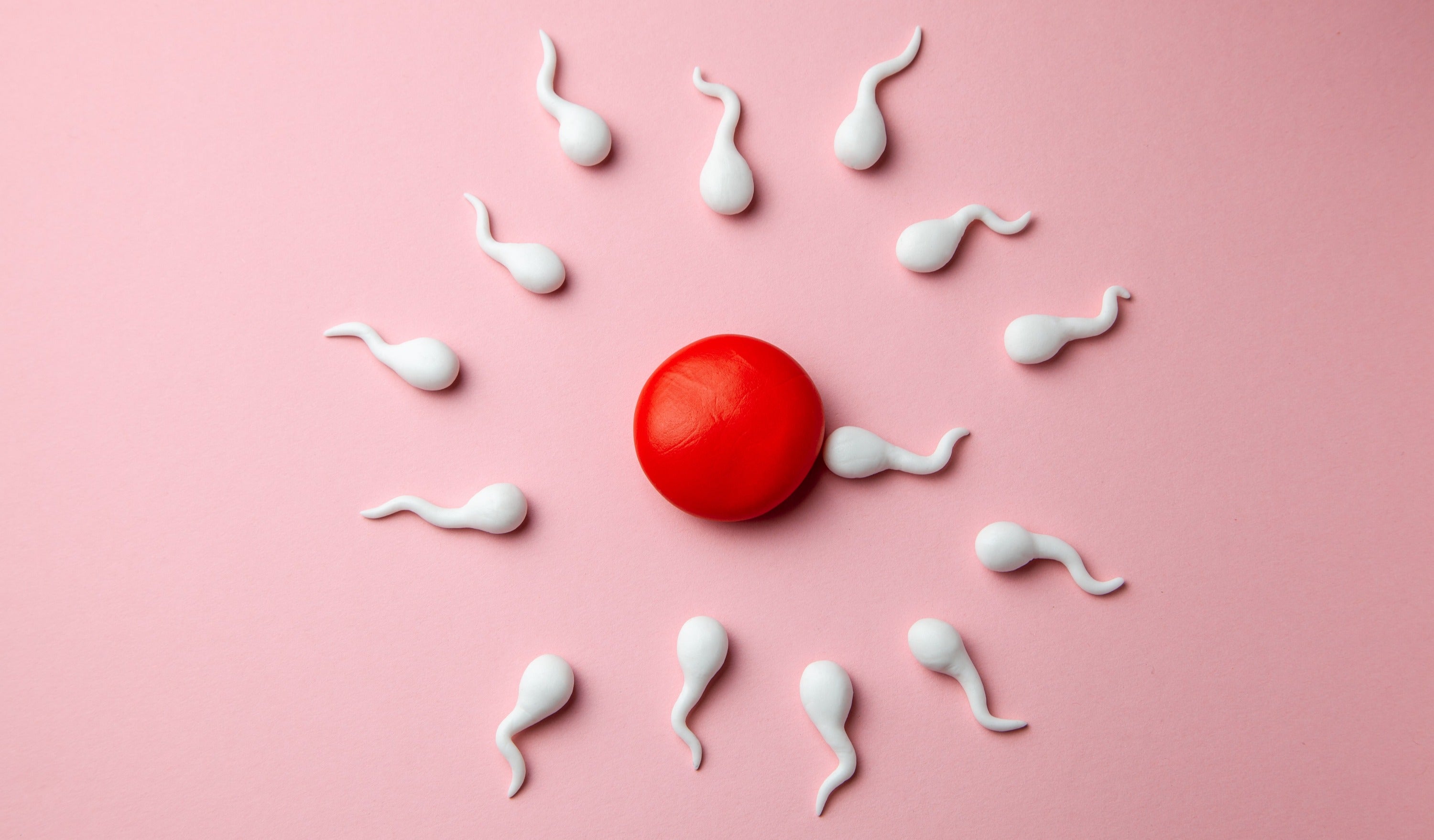 Fertility and Cancer Treatment